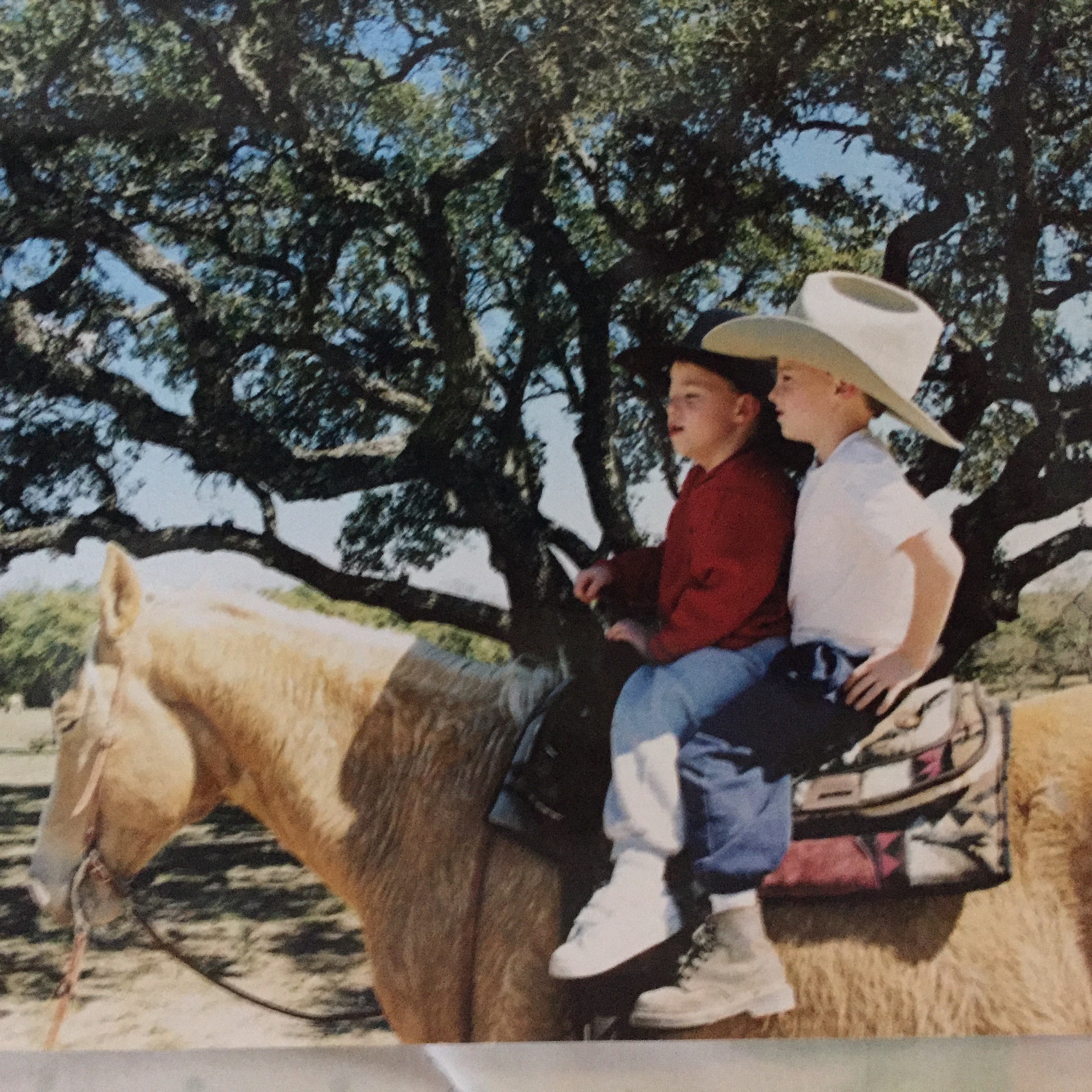 two little kids riding a horse